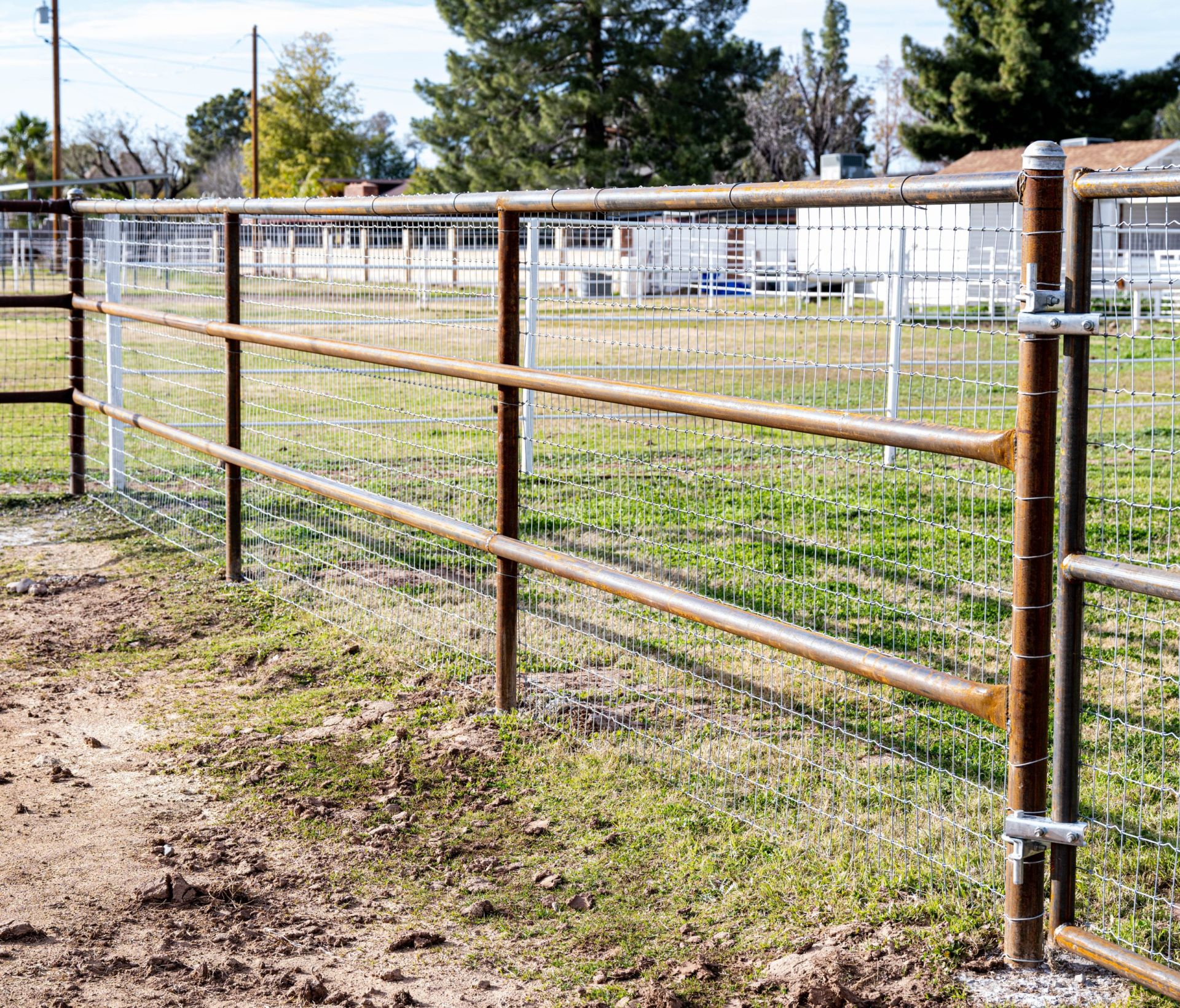 Livestock perimeter fence on a property in Arizona Livestock perimeter fence on a property in Arizona